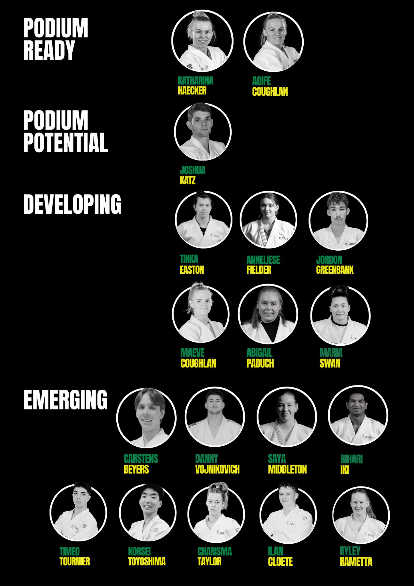 2024categorisation.jpeg